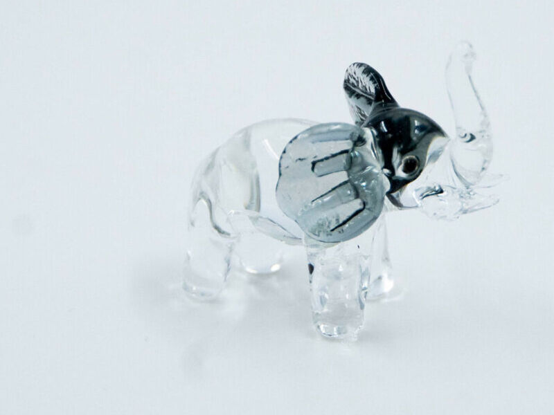 Elefante Negro México