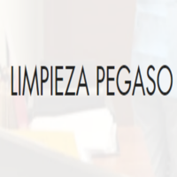 Limpieza Pegaso
