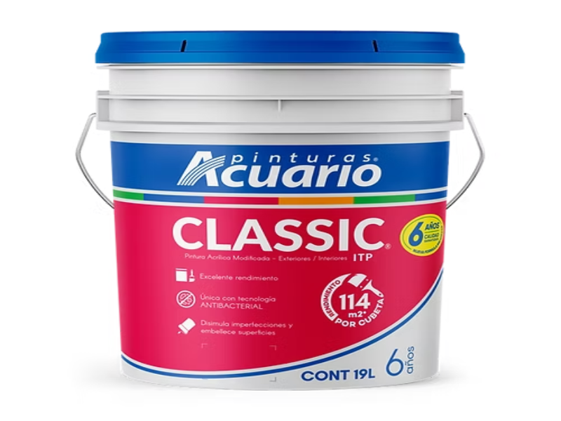 PINTURA CLASSIC® 19 LT 6 AÑOS ANTIHONGOS