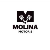 Molina Motors Stihl