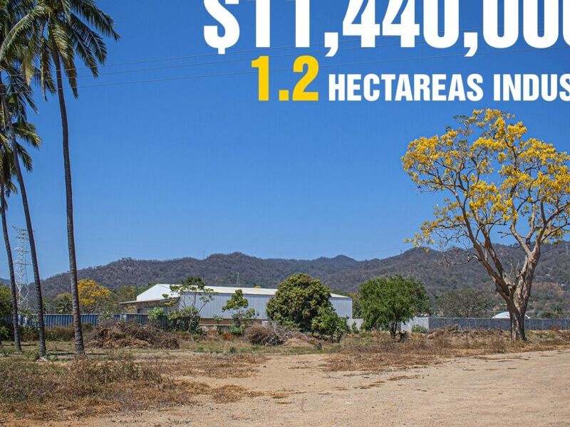 Terreno venta  Industriales Manzanillo