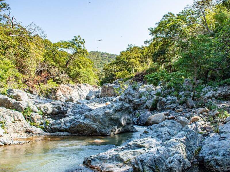 Terreno venta  Ejido Manzanillo