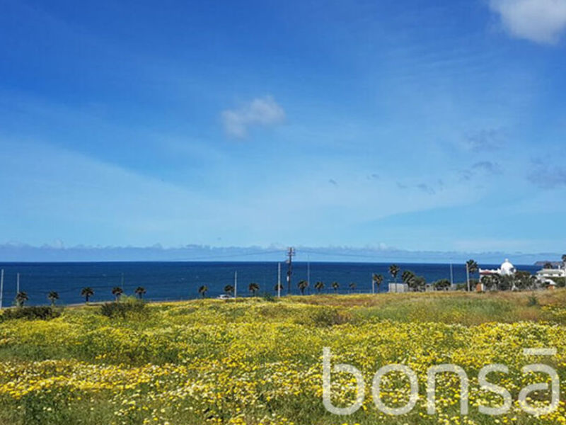 Terreno venta Centro Ensenada