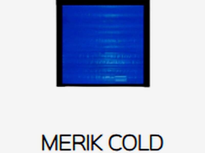 Puerta Industrial Merik Cold México