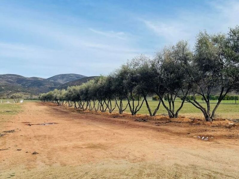 Terreno venta Zaragoza Ensenada