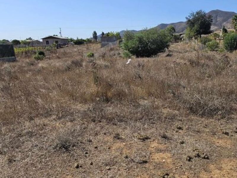 Terreno venta vino Ensenada