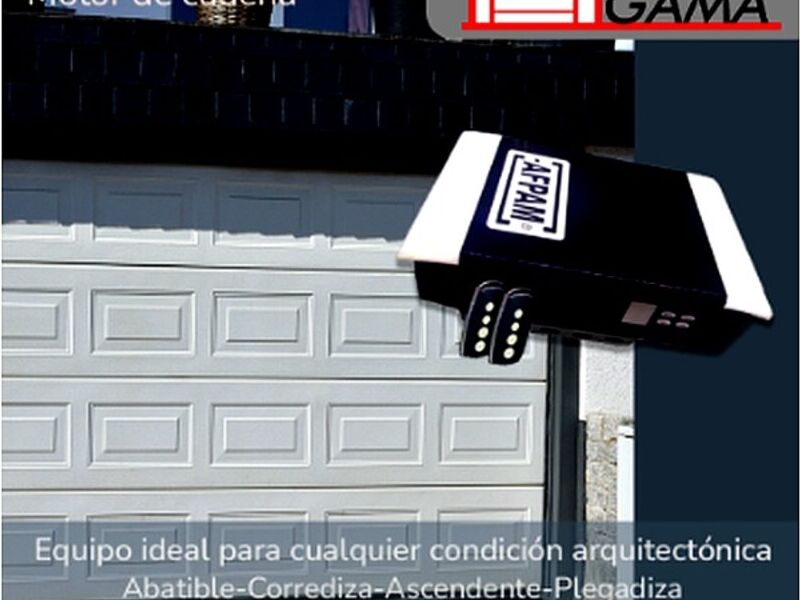 Motor Cadena AFPAM1000 México