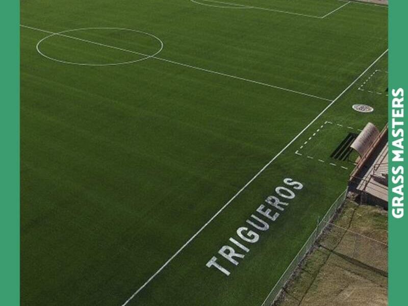 Instalación deportiva pasto sintetico Sonora 