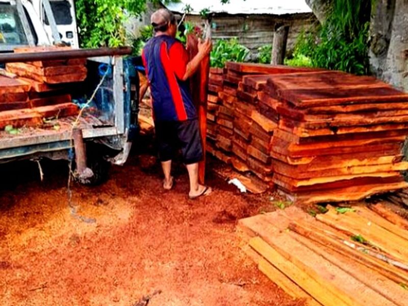 Maderas para guellas dezapote Mérida