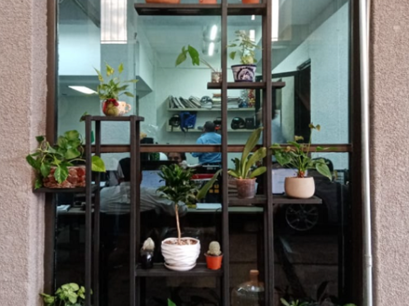 Estante de flores en aluminio negro México