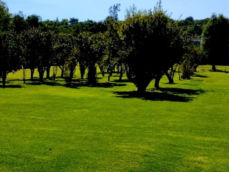 Terreno en venta en Santiago Tlautla
