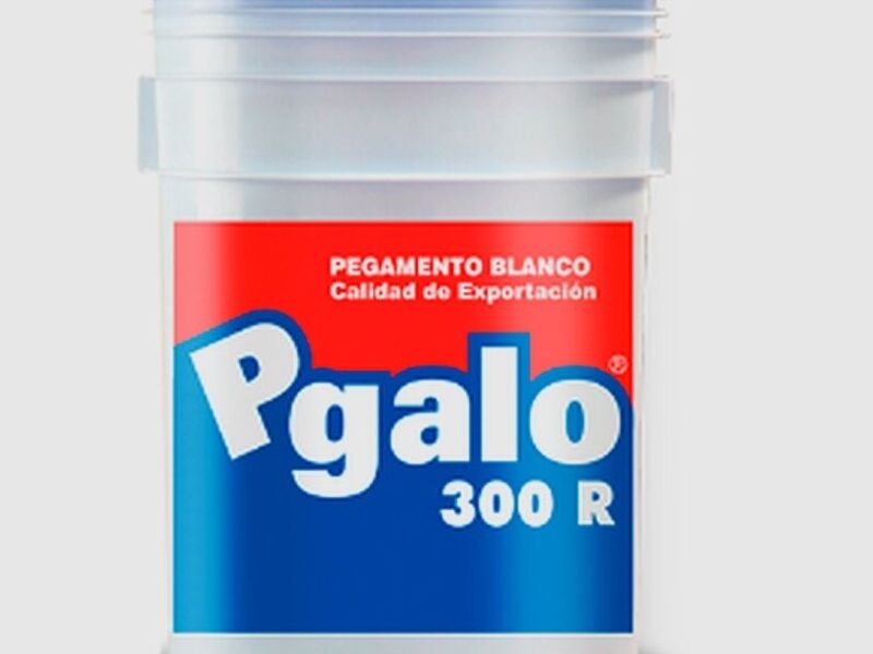 Pgalo 300 R Sinaloa 