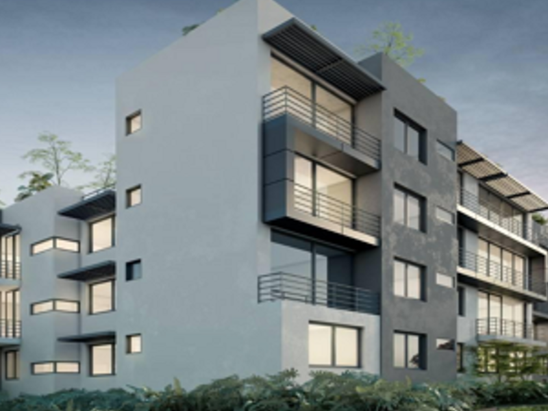 Consultoría diseño CDMX