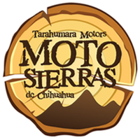 Motosierras Stihl