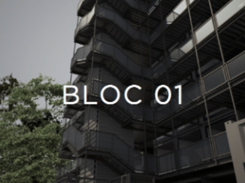 Proyecto BLOC 01 México 