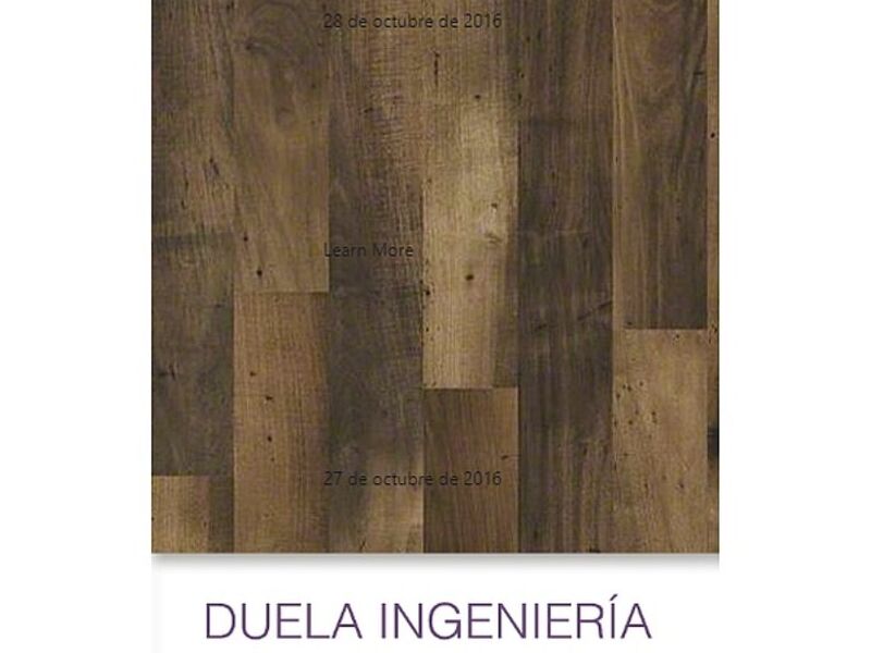 Duela ingenieria Shaw Mexico