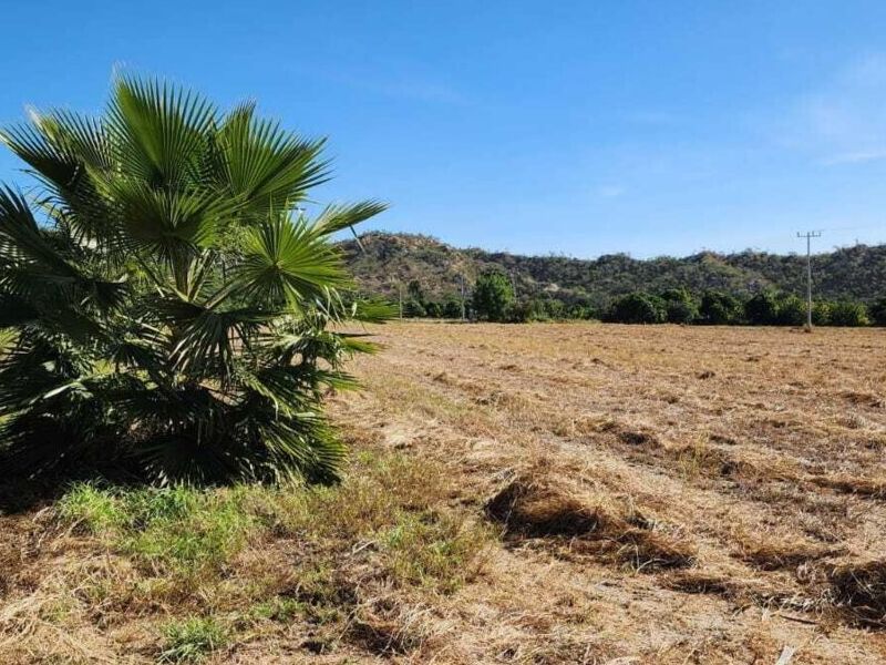 Terreno venta LIBRAMIENTO Cabos 