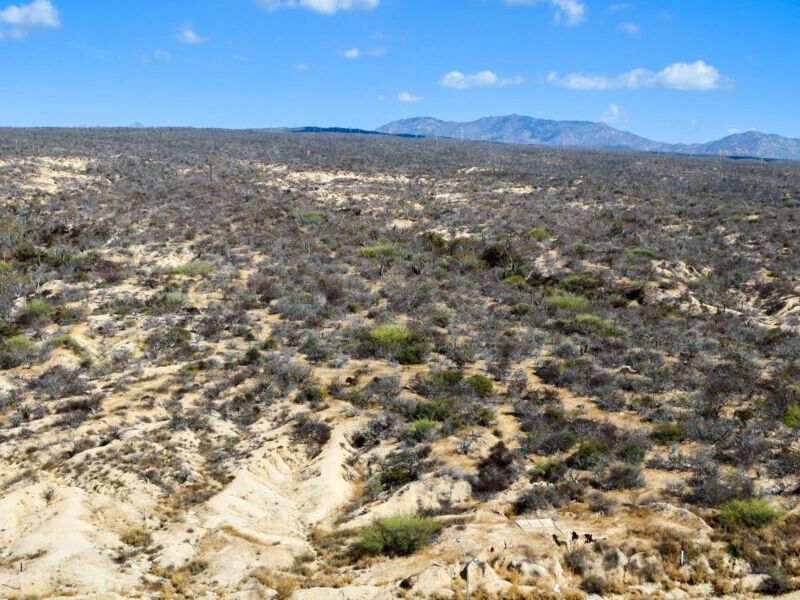 Terreno venta San Cabos 