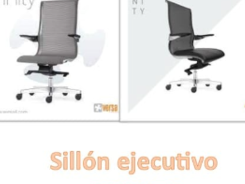 Silla ejecutiva TRINITY Centro de Puebla