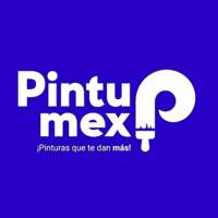 Pinturas Pintumex Volcanes
