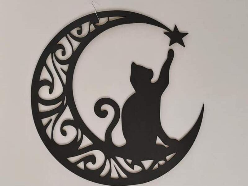 Gato luna CDMX