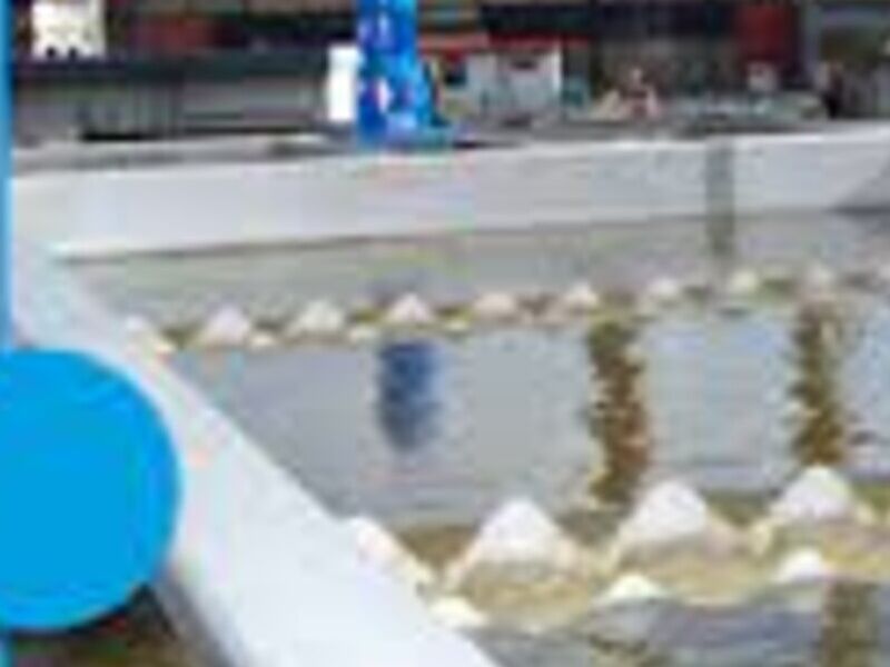 Tratamiento Agua Cruda Mx