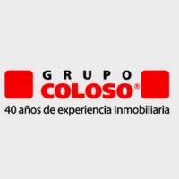 Coloso Constructora