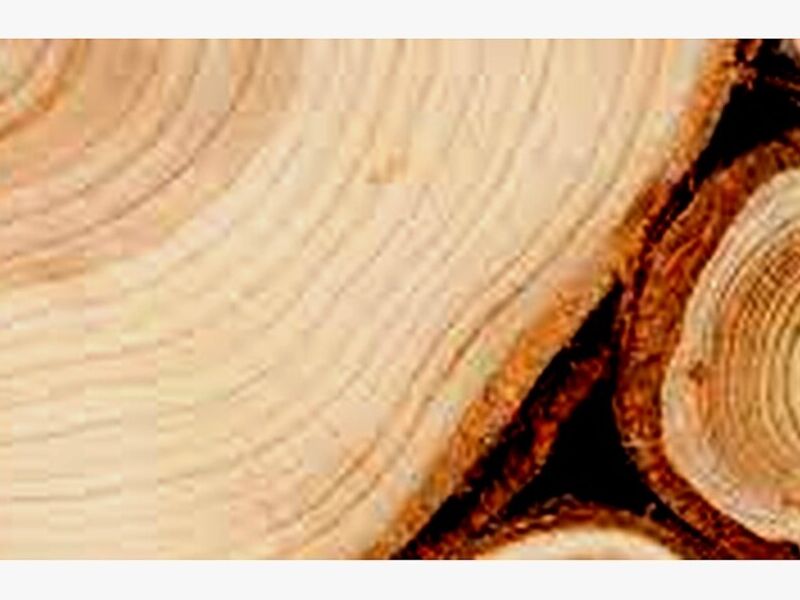 Madera nativa México