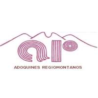 Adoquines Regiomontanos