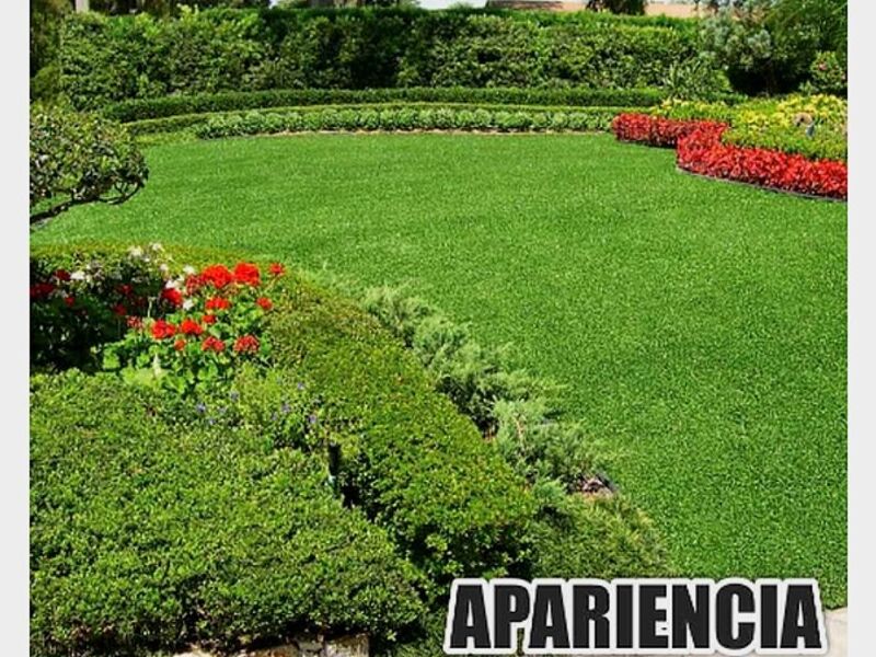 Diseño exteriores Irapuato     