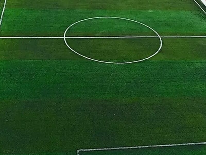 Césped sintético Celaya      