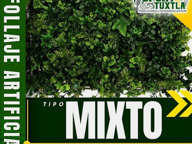 Pasto mixto Chiapas