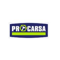 Procarsa Sabinas