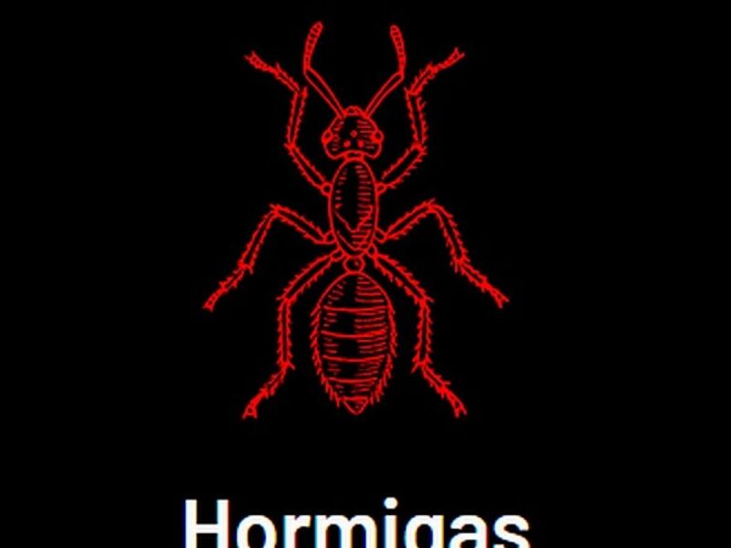 Fumigación Hormigas México