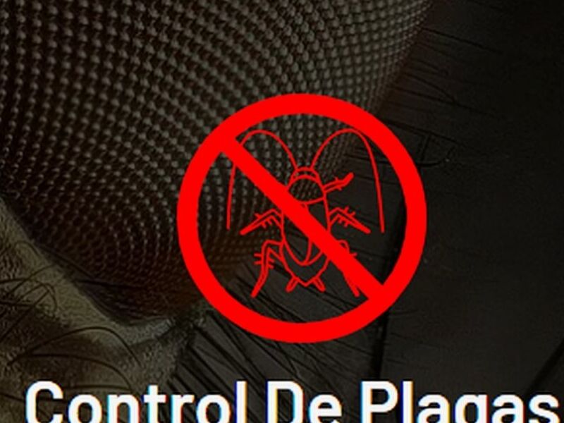 Control De Plagas.
