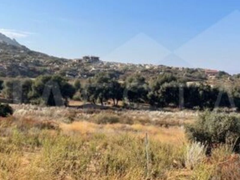 Venta rancho Tijuana