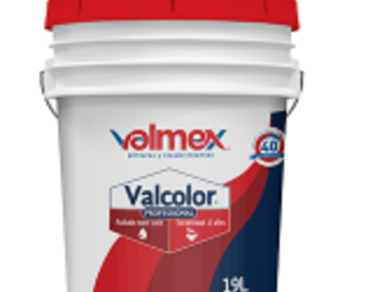 Pintura vinílica profesional CDMX