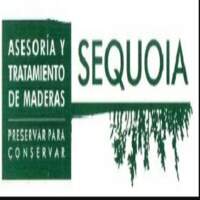 Sequoia