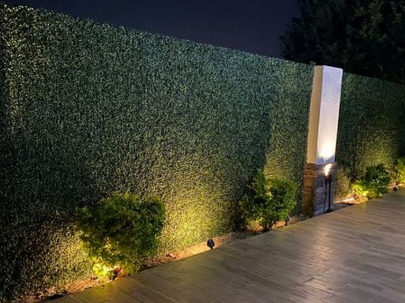 MURO VERDE ARTIFICIAL COAHUILA