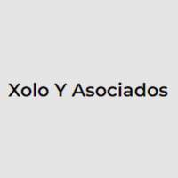 Xolo y Asociados