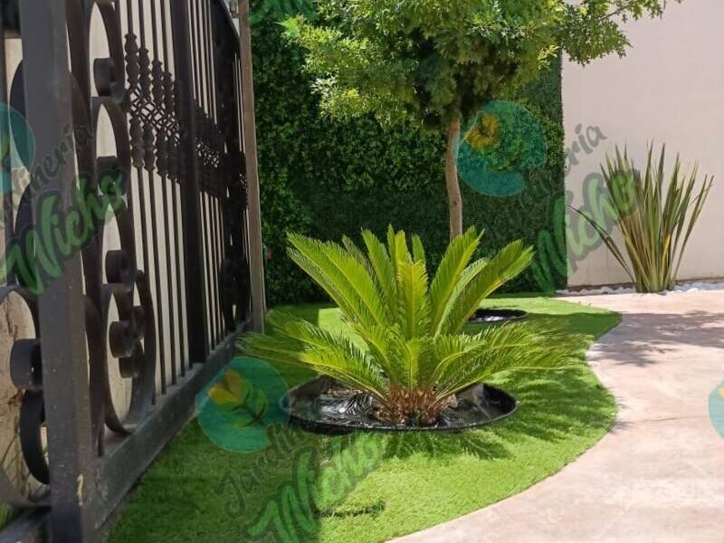 Diseño jardines Mexico