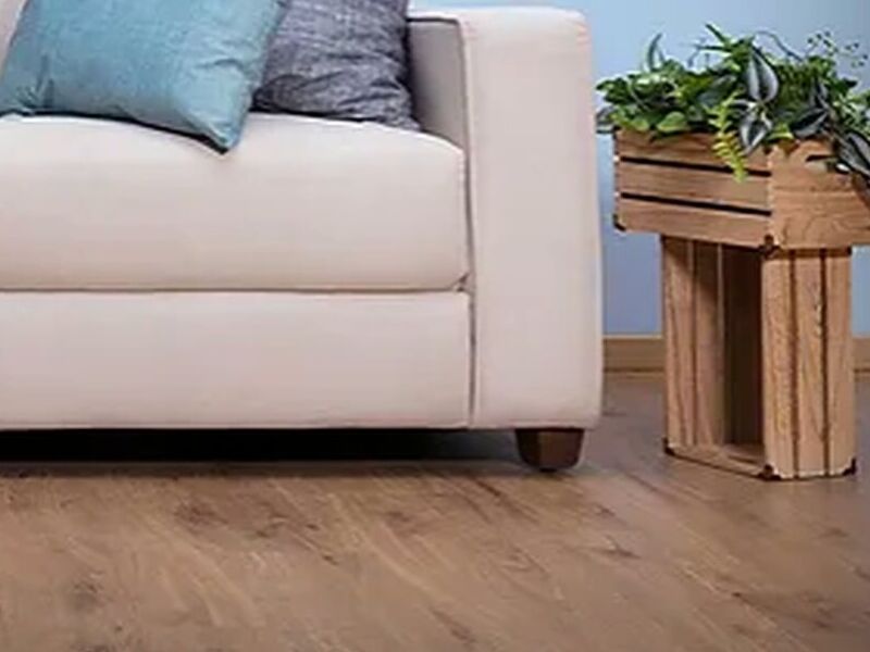 Duela Laminada Chihuahua