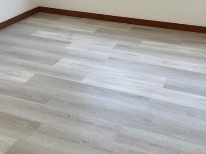 Duela Laminada Clara Chihuahua