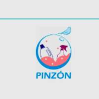 Pinzón Detergentes