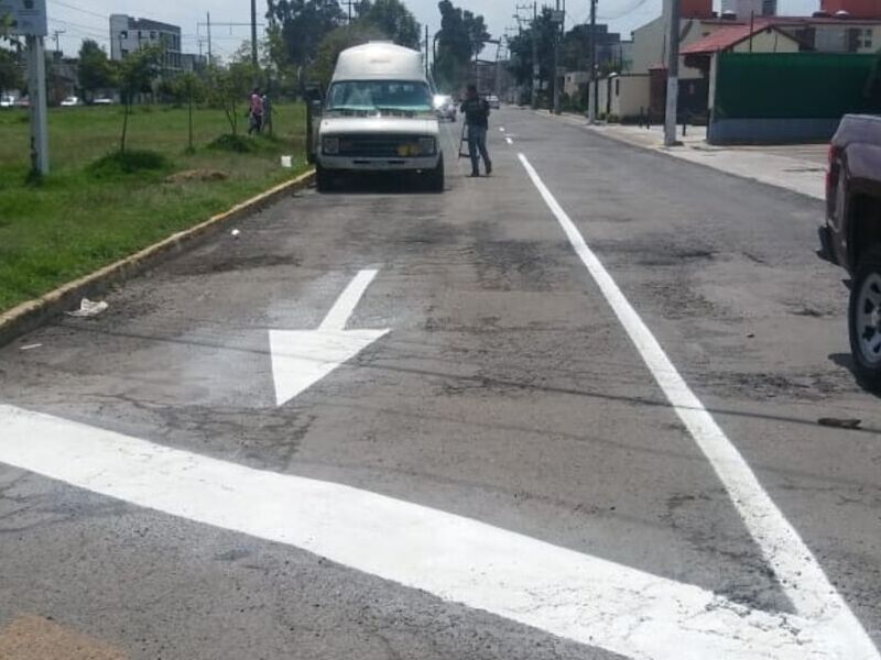 Rayas Alto México