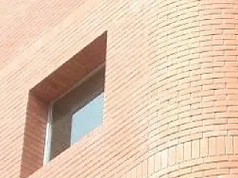 Tabique Estructural México
