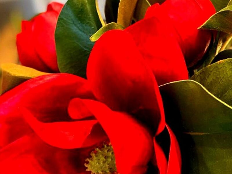 Flor Decorativa Merida