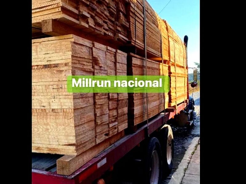 Millrún Nacional CDMX