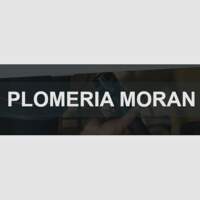 PLOMERIAMX