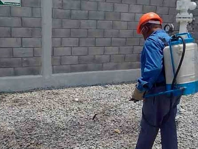 Fumigación Sector Comercial México